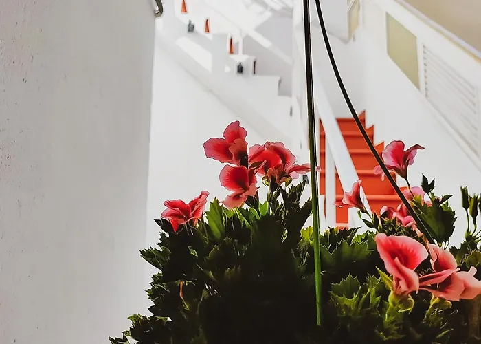 Guest house Alma Canaria Las Palmas de Gran Canaria