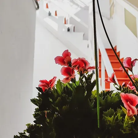 Guest house Alma Canaria Las Palmas de Gran Canaria