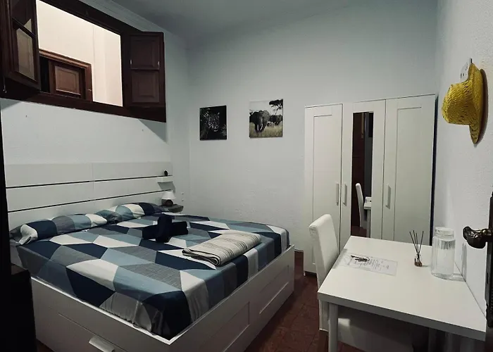 Alma Canaria Gæstehus Las Palmas de Gran Canaria